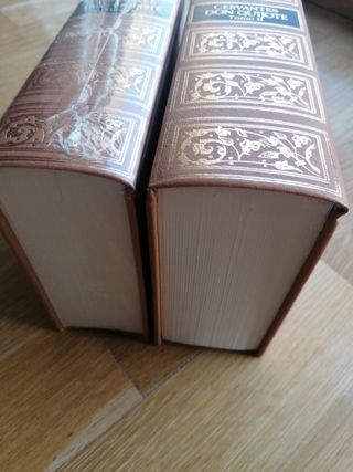 Conjunto de 2 libros de Don Quijote