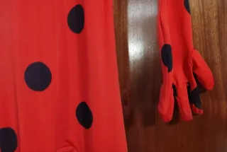 Disfraz Ladybug 4-5 años - NO con Inpost