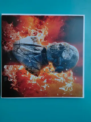 Megadeth Vinilo Edición Limitada 378/1000