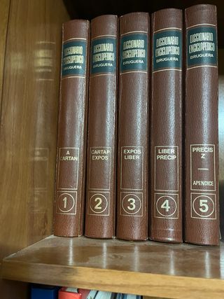 Diccionarios bruguera