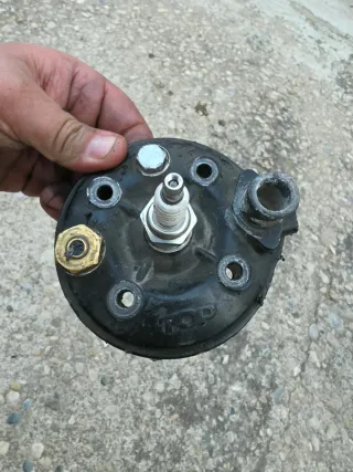 Top rosa pintado en negro