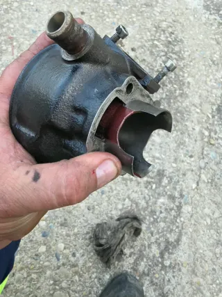 Top rosa pintado en negro