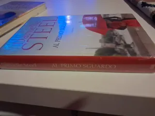 Danielle Steel Al primo sguardo