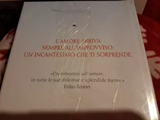 Danielle Steel Al primo sguardo