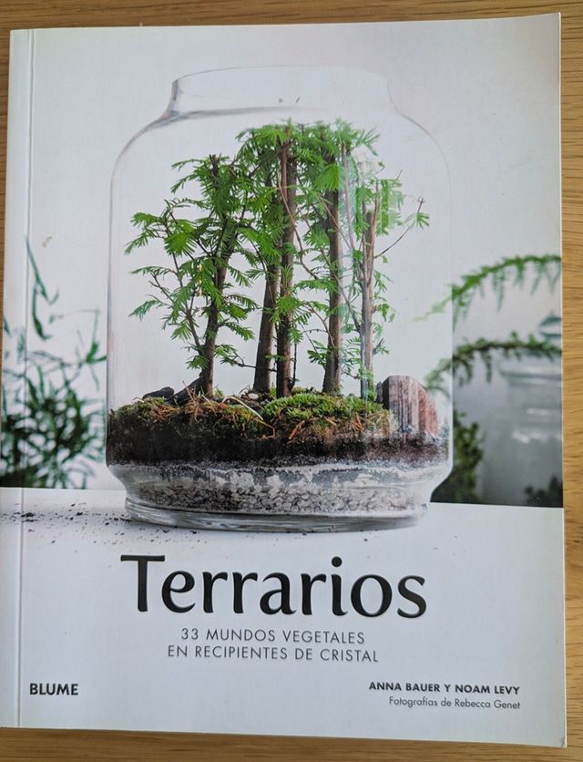 Terrarios. Mundos vegetales en recipientes cristal