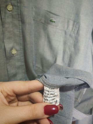 Camicia Lacoste Uomo Grigia Cotone L
