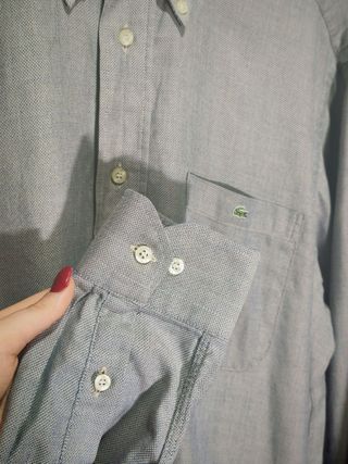 Camicia Lacoste Uomo Grigia Cotone L