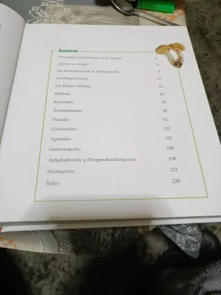 Setas (Spanish Edition)