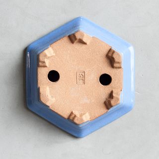 Maceta Bonsái Tokoname - IKKO - 12cm
