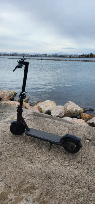 Patinete Eléctrico Xiaomi 4