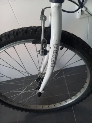 Bicicleta juvenil GOTTY con cambios