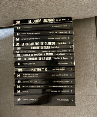 Lote de libros clásicos de la editorial Cátedra