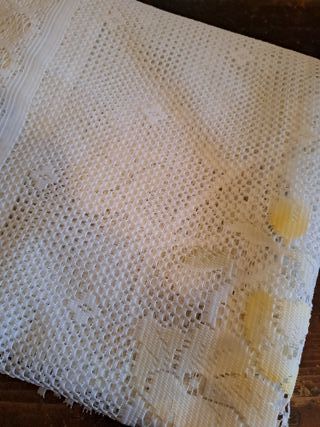 2 Tende a Vetro Ricamate con Frange