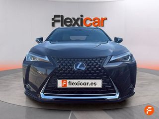 Lexus UX 2.0 250h Business
