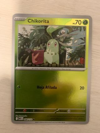 6 Cartas Pokémon Brillantes
