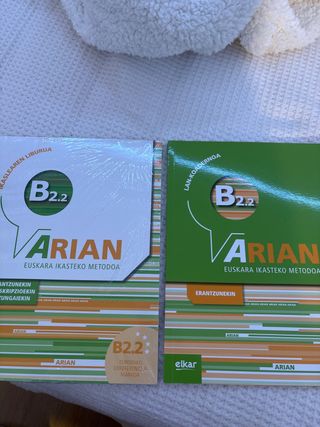 Arian B2.2 Lan-koadernoa