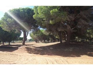 Casa en alquiler en Pinar de los Franceses - Marquesado en Chiclana de la Frontera