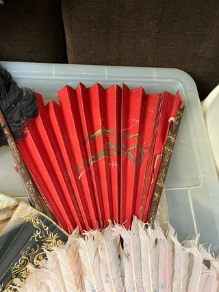 Raccolta di ventagli antichi decorati