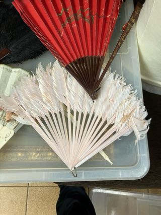 Raccolta di ventagli antichi decorati