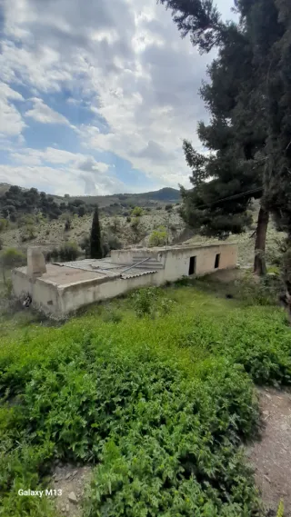 Cortijo