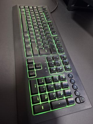 Teclado Razer Cynosa V2 Negro