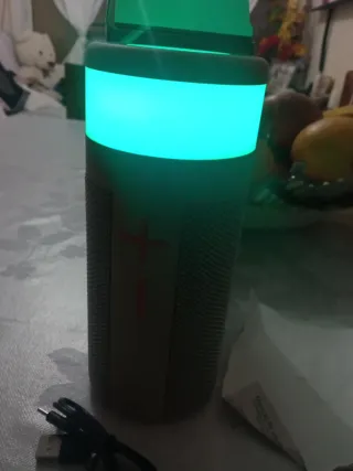 Altavoz L-43 Inalámbrico Gris