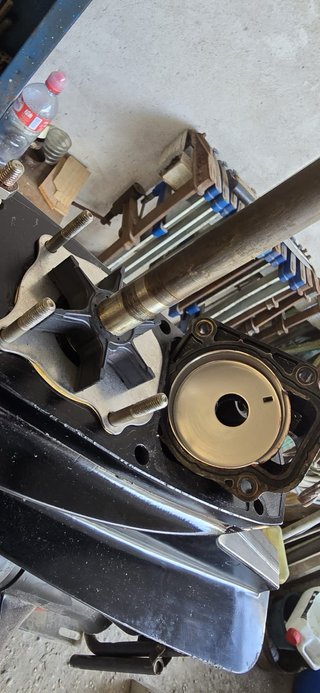 Motor fueraborda Suzuki 4 tiempos 2018