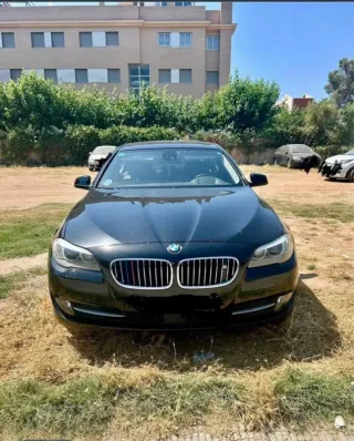BMW Serie 5 2010