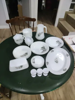 Vajilla Arcopal precio por piezas