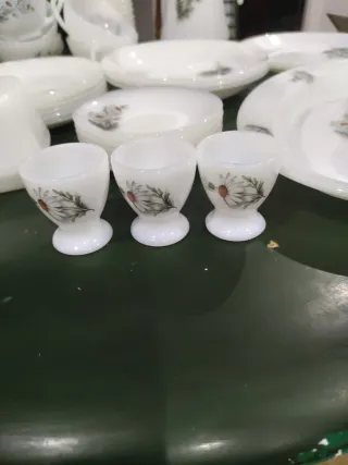 Vajilla Arcopal precio por piezas