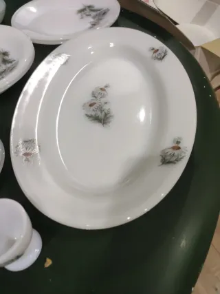 Vajilla Arcopal precio por piezas