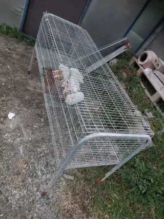 Jaula para conejos metálica