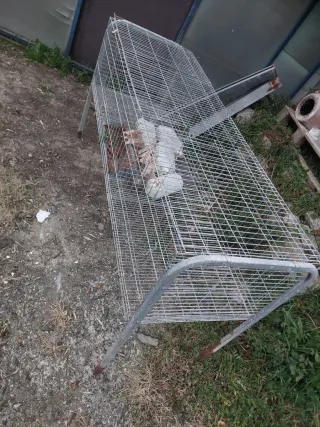 Jaula para conejos metálica