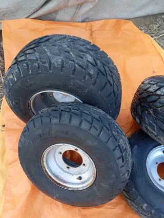 4 Ruedas Quad ATV 255/60-10 con Llanta