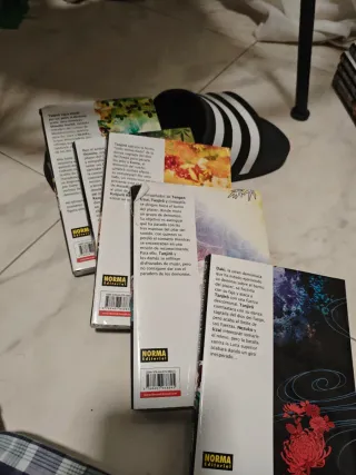 Casi todos los mangas de Demon slayer