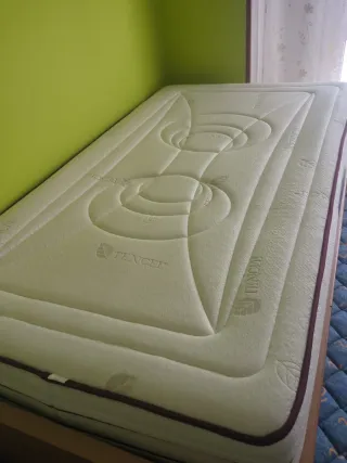 Cama doble con cajones y dos colchones