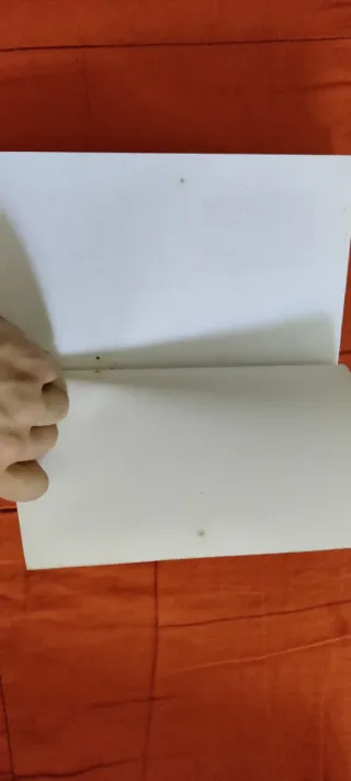 Escalera Al Infierno La Bien Planificada Destru...