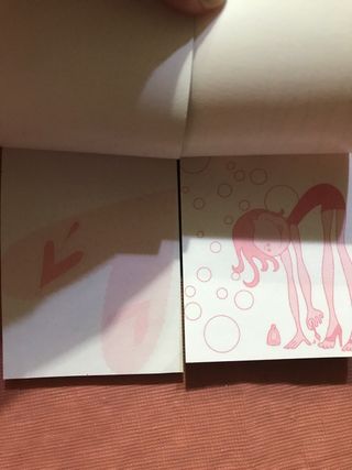 Libretas pequeñas con dibujos de animales