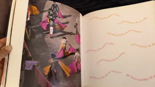 Libro Toros Luis Francisco Esplá Tauromaquia