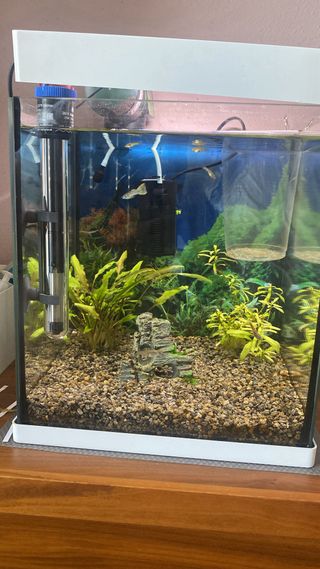 Nano acuario 30L con filtro y calentador