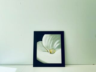 Cuadro Flor Liquidación