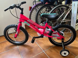 Bicicleta Jlwenty 1200 Rosa
