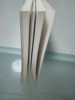 La misión de los negocios