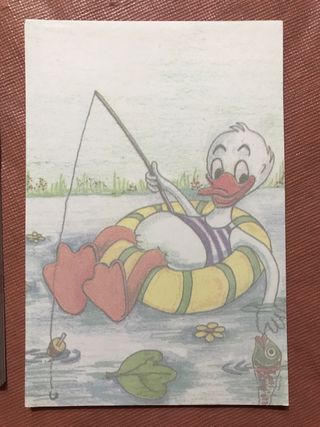 Libretas medianas Dibujos Animales