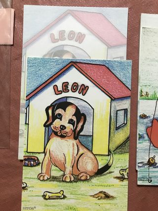 Libretas medianas Dibujos Animales