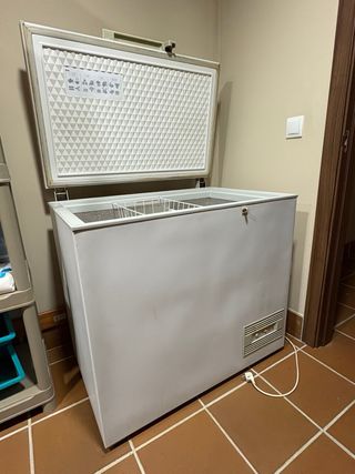 Arcón Congelador Horizontal 260L