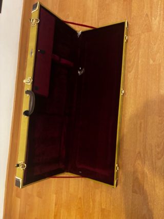 Funda Rígida para Guitarra Eléctrica Dorada