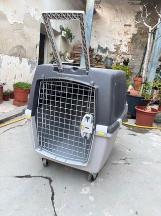 Transportín para perro con ruedas