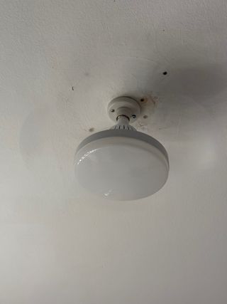 Ventilador de techo con luz