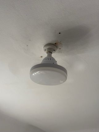 Ventilador de techo con luz